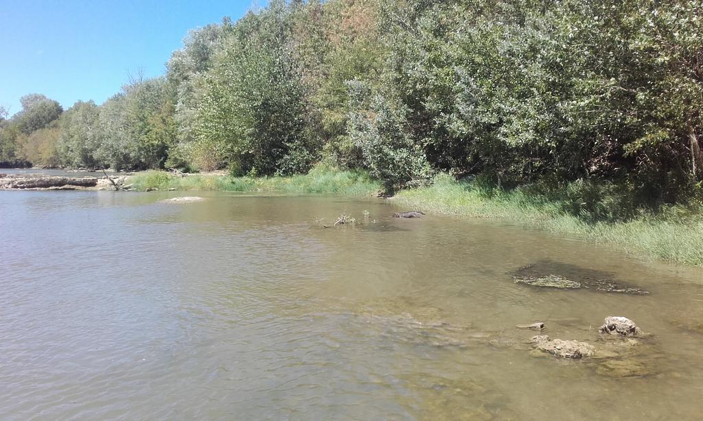 Chambre D'Hotes Avec Cuisine Commune - 5 Mns De Narbonne Cuxac-dʼAude Εξωτερικό φωτογραφία